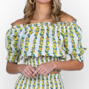Olivia James Gia Top NWT Provence Stripe- blue and yellow on white cotton-size S